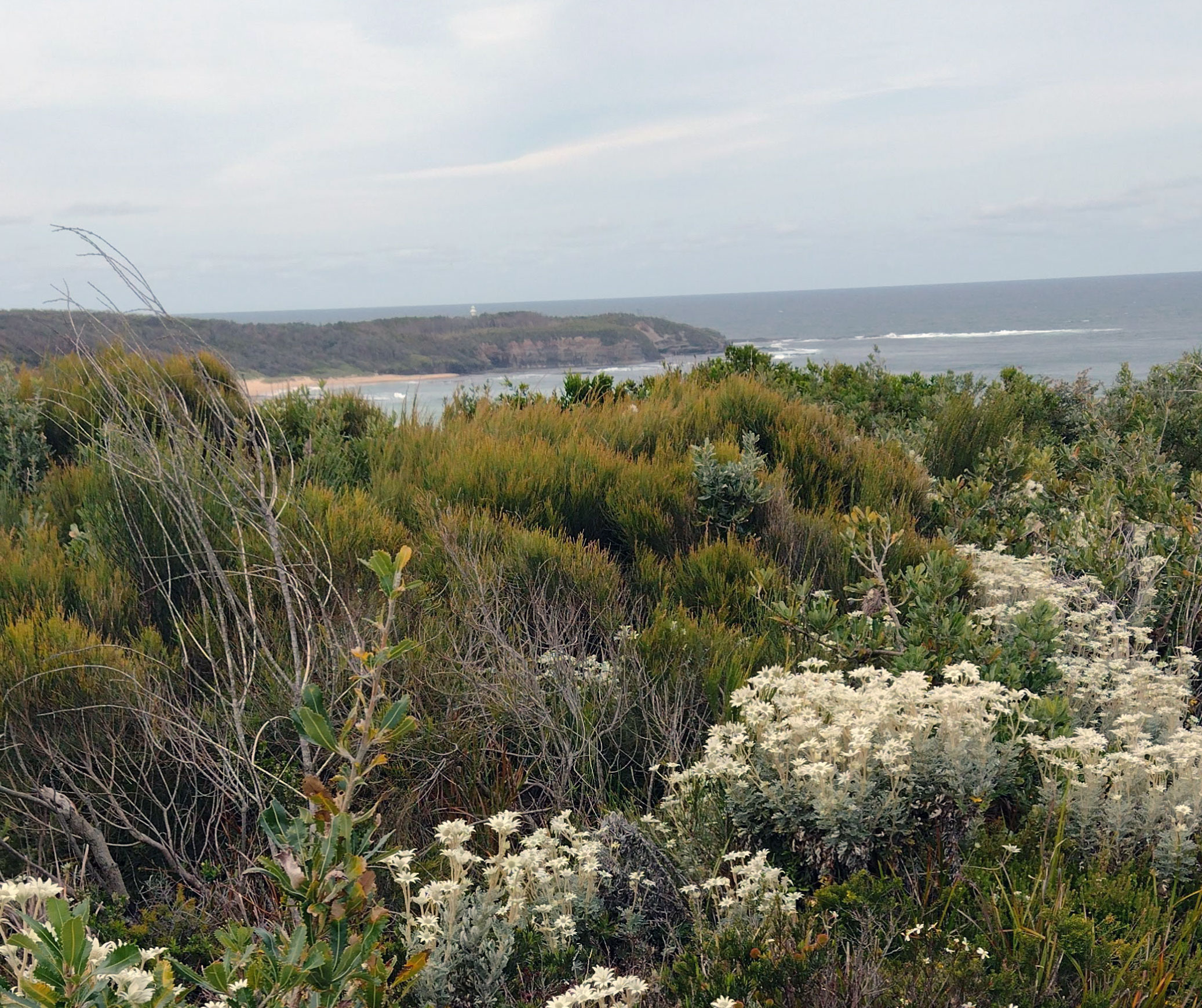 Linnean Society Symposium – Batemans Bay Sep 17-19