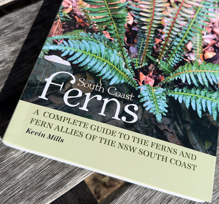 South Coast Ferns – New Book by Kevin Mills