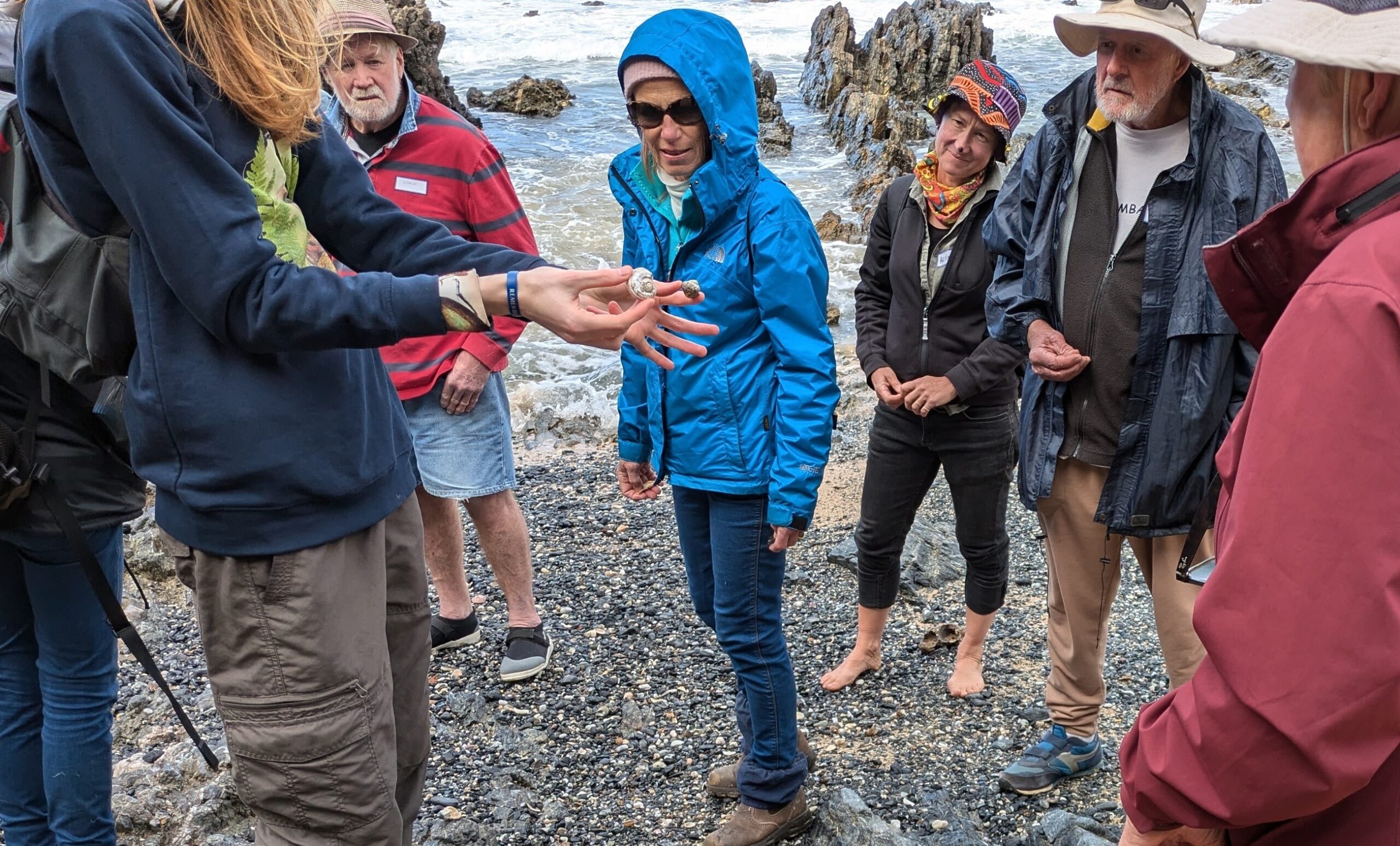 Science Week August 2024 –  Exploring Nature & iNaturalist